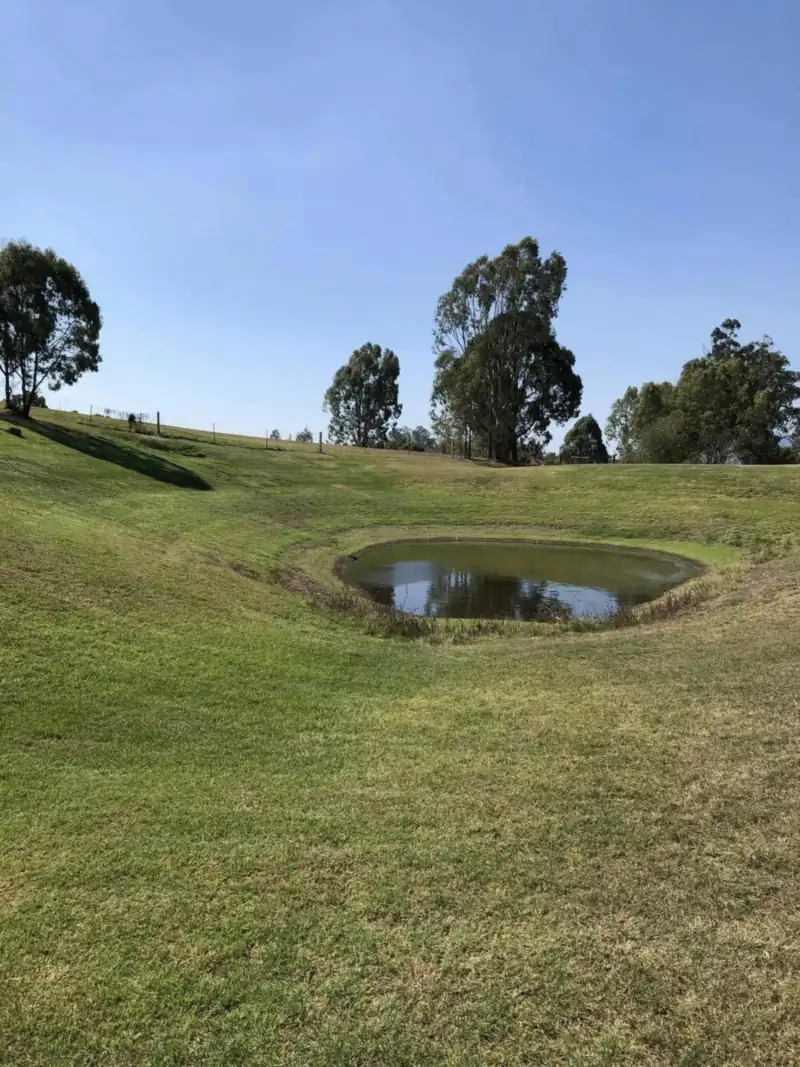 Damp acreage lawn beside a farm dam in the Somerset region after rain, showing whether you can mow wet grass