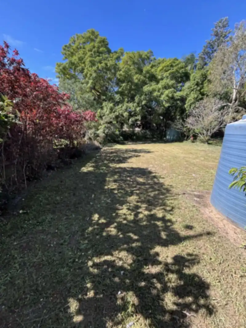 Garden cleanup Moreton Bay: overgrown yard cleared and tidied under established trees with bougainvillea