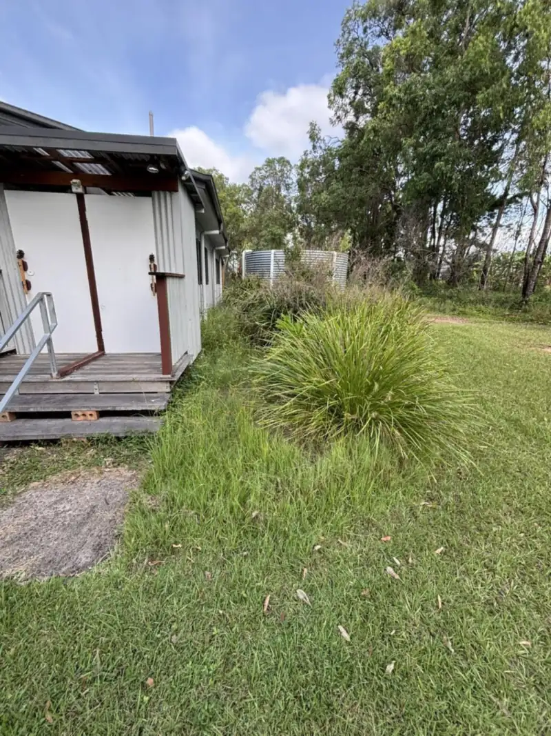 Before: overgrown long grass beside a shed in Moreton Bay before lawn mowing and cleanup
